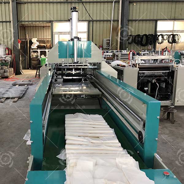 Biodegradable Plastic Garbage Bag Making Machine - ZHEJIANG LIFENG ...